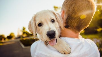 Um animal de estimação deixa as crianças mais felizes