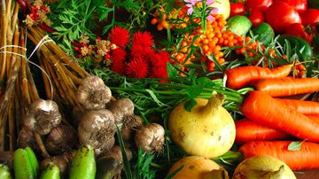 A Agroecologia pode ser uma estratégia intersetorial de promoção da saúde, de sustentabilidade e de segurança alimentar e nutricional