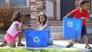 Imagem Como separar o lixo reciclável na sua casa com a ajuda das crianças