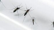 Imagem Guillain-Barré cresce em ao menos 6 estados; relação com zika é estudada