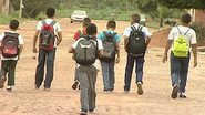 Imagem Censo Escolar: 3 milhões de alunos entre 4 e 17 anos estão fora da escola