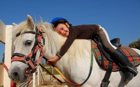 Imagem ANIMAIS SOLIDÁRIOS – Terapia com cavalos chega a crianças carentes